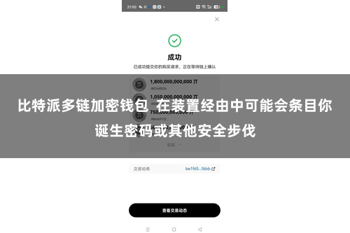 比特派多链加密钱包 在装置经由中可能会条目你诞生密码或其他安全步伐