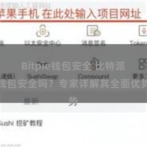 Bitpie钱包安全 比特派钱包安全吗？专家详解其全面优势