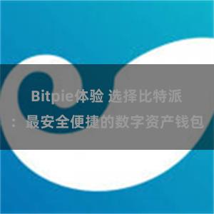 Bitpie体验 选择比特派：最安全便捷的数字资产钱包