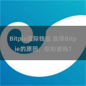 Bitpie国际钱包 选择Bitpie的原因，你知道吗？