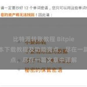 比特派转账教程 Bitpie钱包最新版本下载教程及功能亮点，尽在一篇文章中详解