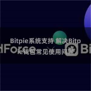 Bitpie系统支持 解决Bitpie钱包常见使用问题