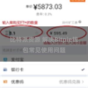 比特派资源 解决Bitpie钱包常见使用问题