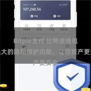 Bitpie支付 比特派钱包：强大的隐私保护功能，让您资产更安全