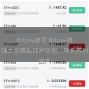 Bitpie教程 Bitpie钱包：强大的隐私保护功能，守护您的资产