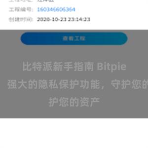 比特派新手指南 Bitpie钱包：强大的隐私保护功能，守护您的资产