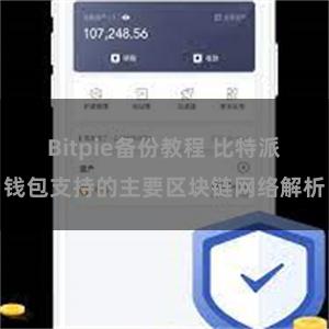 Bitpie备份教程 比特派钱包支持的主要区块链网络解析