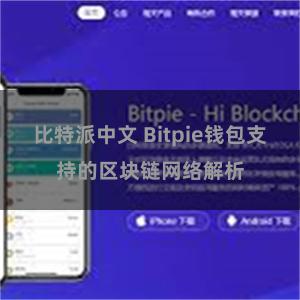 比特派中文 Bitpie钱包支持的区块链网络解析