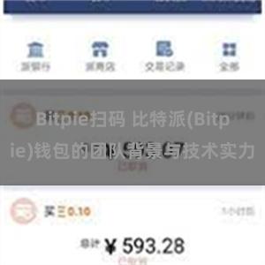 Bitpie扫码 比特派(Bitpie)钱包的团队背景与技术实力