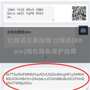 比特派交易指南 比特派(Bitpie)钱包隐私保护指南