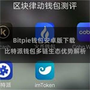 Bitpie钱包安卓版下载 比特派钱包多链生态优势解析