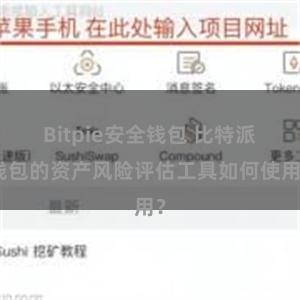 Bitpie安全钱包 比特派钱包的资产风险评估工具如何使用？