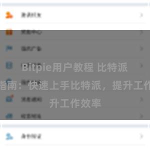 Bitpie用户教程 比特派配置指南：快速上手比特派，提升工作效率