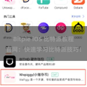 Bitpie iOS 比特派教程官网：快速学习比特派技巧！