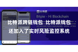 比特派跨链钱包  比特派钱包还加入了实时风险监控系统