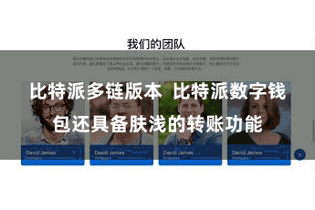 比特派多链版本  比特派数字钱包还具备肤浅的转账功能
